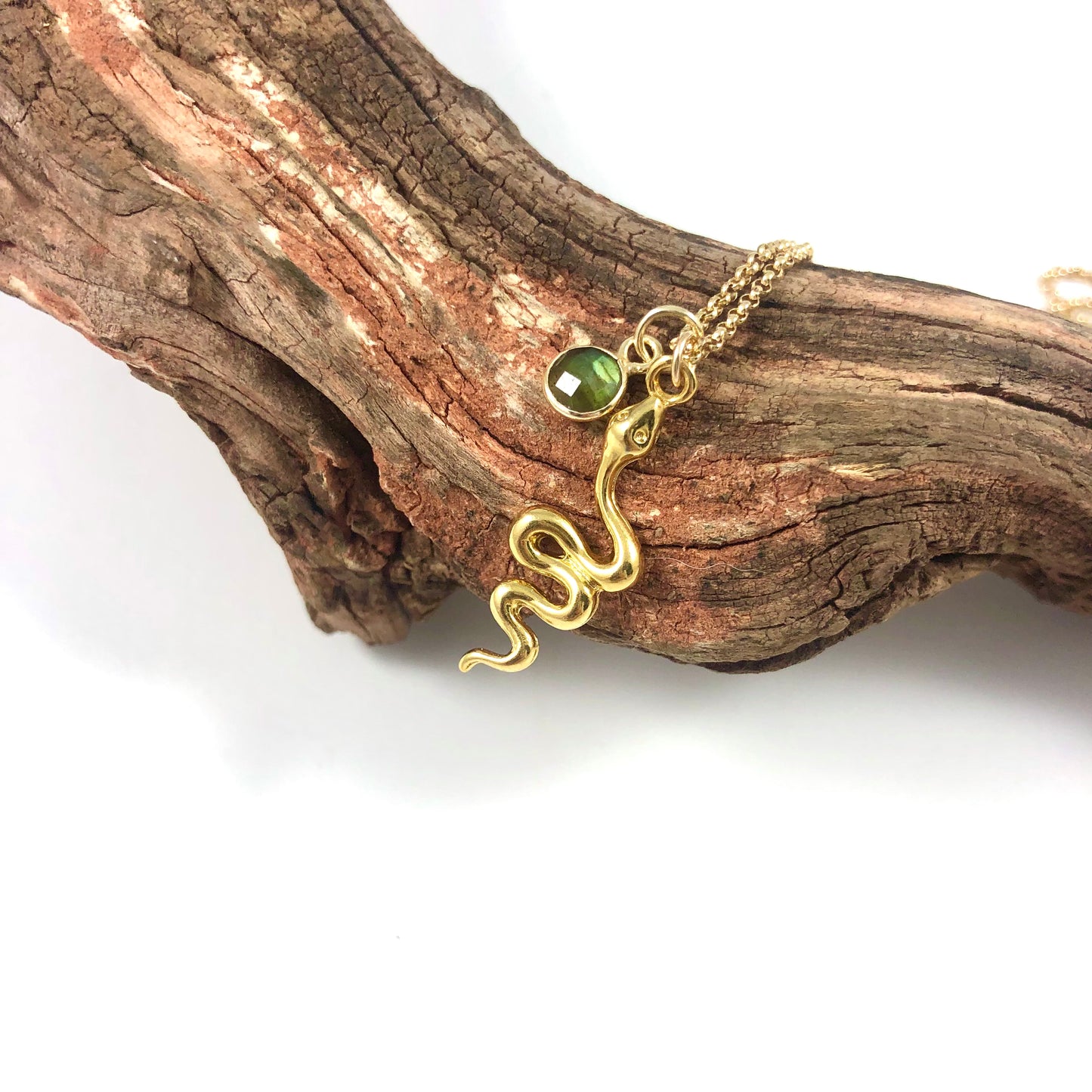 Transformation Necklace